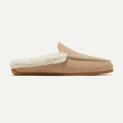 The Scuff Slipper